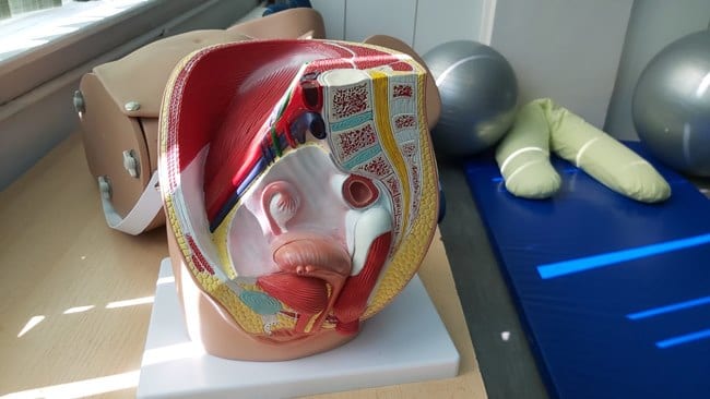 Zanovljena oprema u školi za trudnice 6 organi