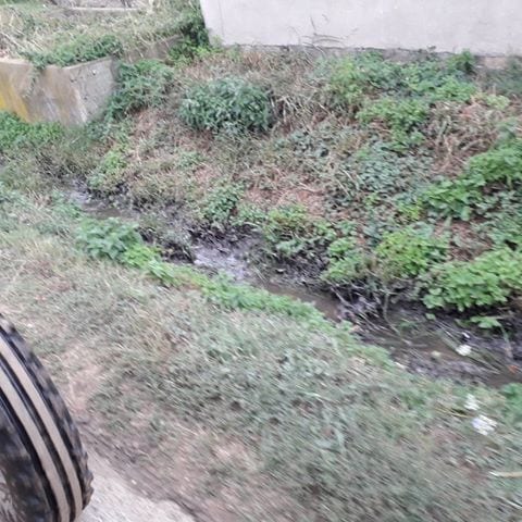 Kanalizacija se izliva u Vapi nedeljama. Meštani: Preti nam katastrofa 3 vapa3