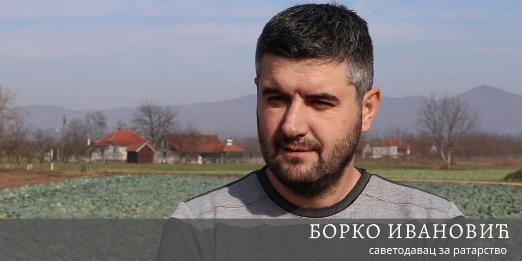 Dobar rod kupusa u čačanskom kraju 4 CACAK BORKO IVANOVIC PSSS 17112019 MNA MILOS LUKIC 1