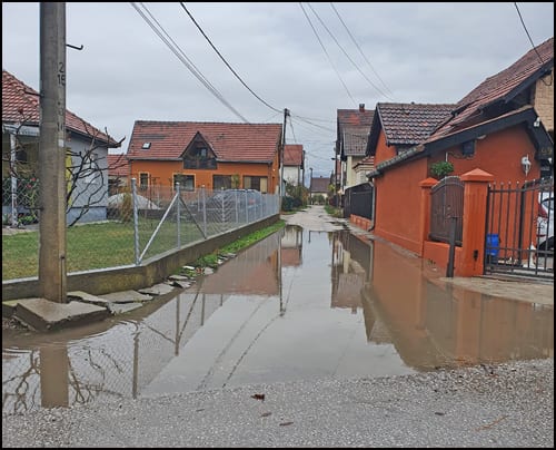 braće stanić 1