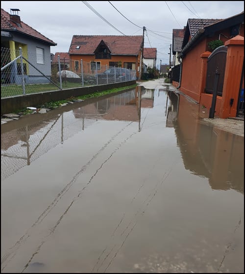 braće stanić 2