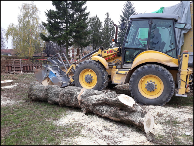 drvoseče 2