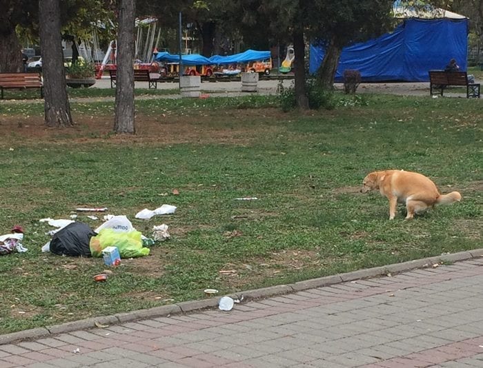 Ponedeljak, smeće svuda 2 smece