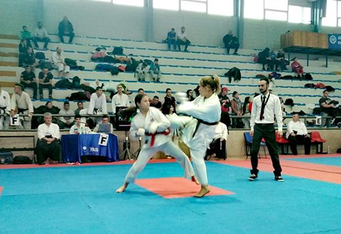 karate3