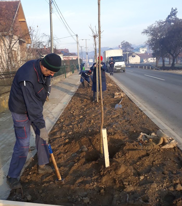 Posađena nova stabla u MZ Lugovi 1 nasa suma2