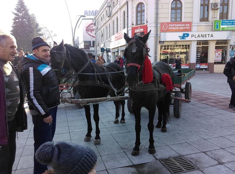 BOZIC1