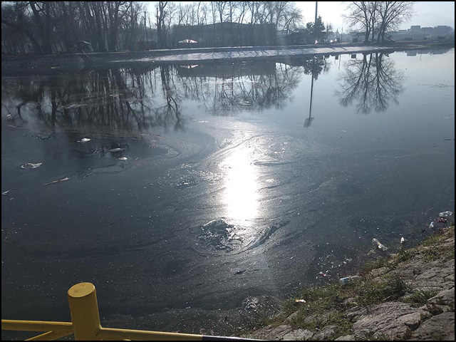 plaža januar 2020 2