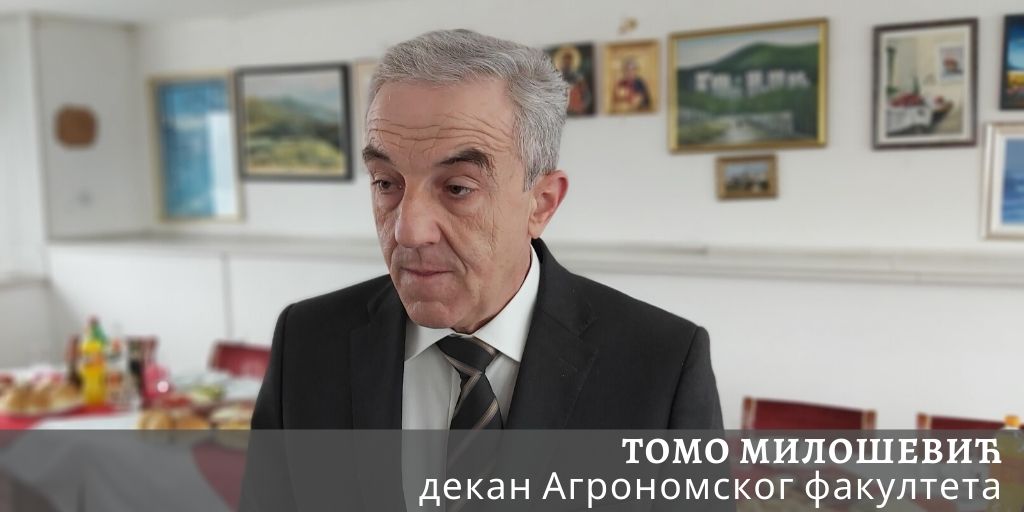tomo milosevic