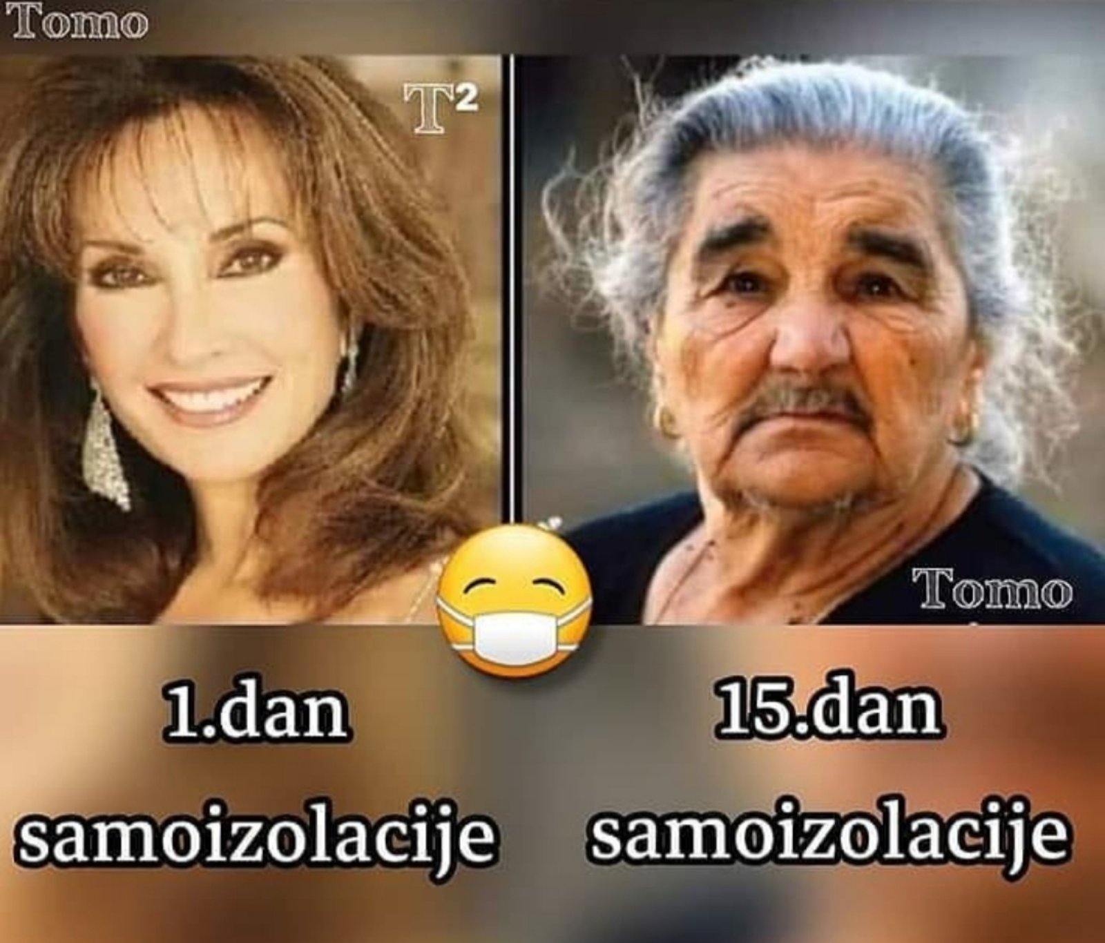 korona42