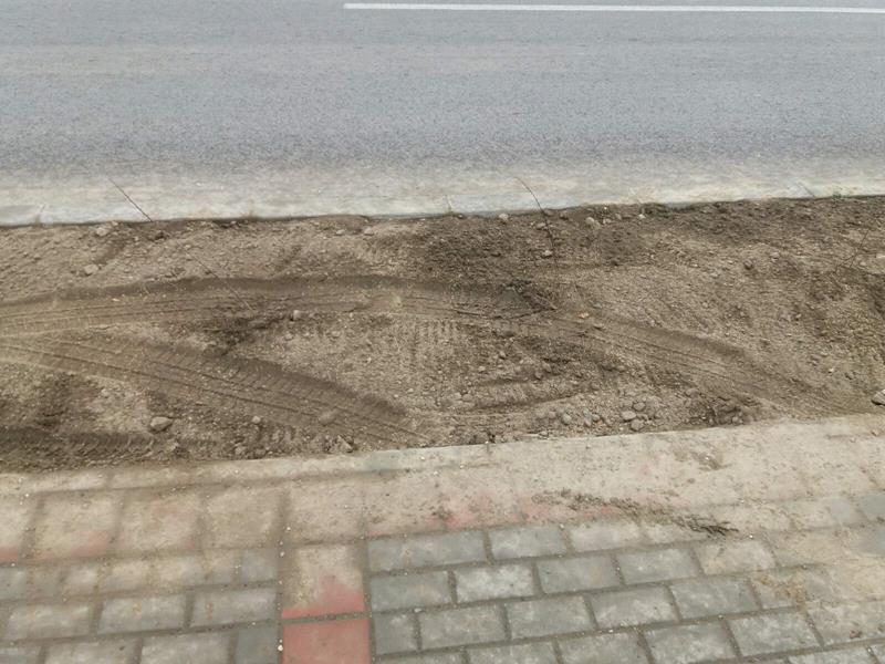 Posađene biljke uništili automobili 4 parkrianje3