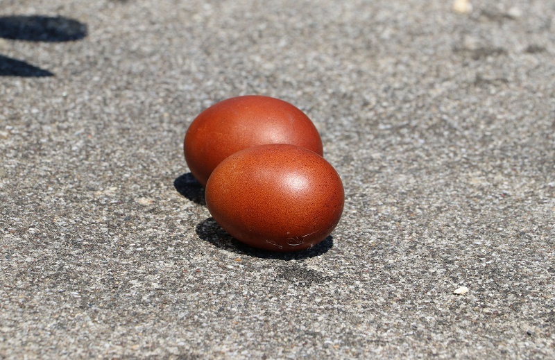 CACAK GROBLJE POBUSANI PONEDELJAK 27042020 MNA MILOS LUKIC 03 scaled 1