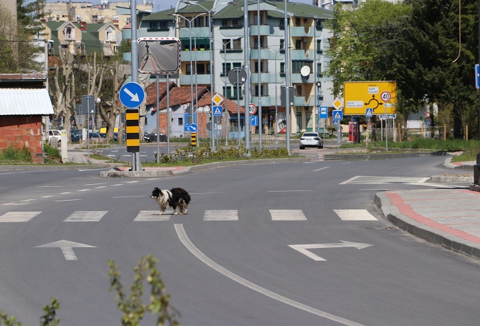 CACAK POLICIJSKI CAS 18042020 MNA MILOS LUKIC 02 scaled 1