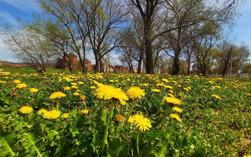 morava1 1