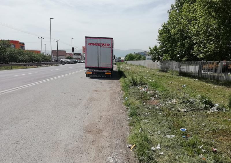 CACAK KONJEVICI SPOMENIK SMECE 24052020 MNA ALEKSANDAR COLOVIC 01 scaled 1