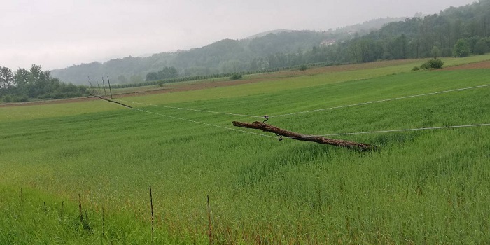LUCANI NEVREME POSLEDICE 20052020 MNA 02