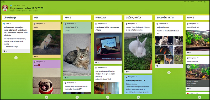 Padlet Izlozba