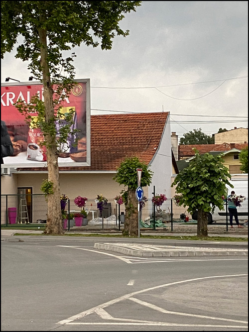 drveće uzvraća 2