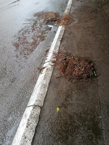 Građani blokirali Kej, niko nije došao da očisti fekalije 2 kej blokada1