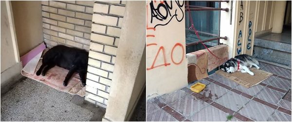 Nove divlje deponije u Nemanjinoj 80 3 kucee