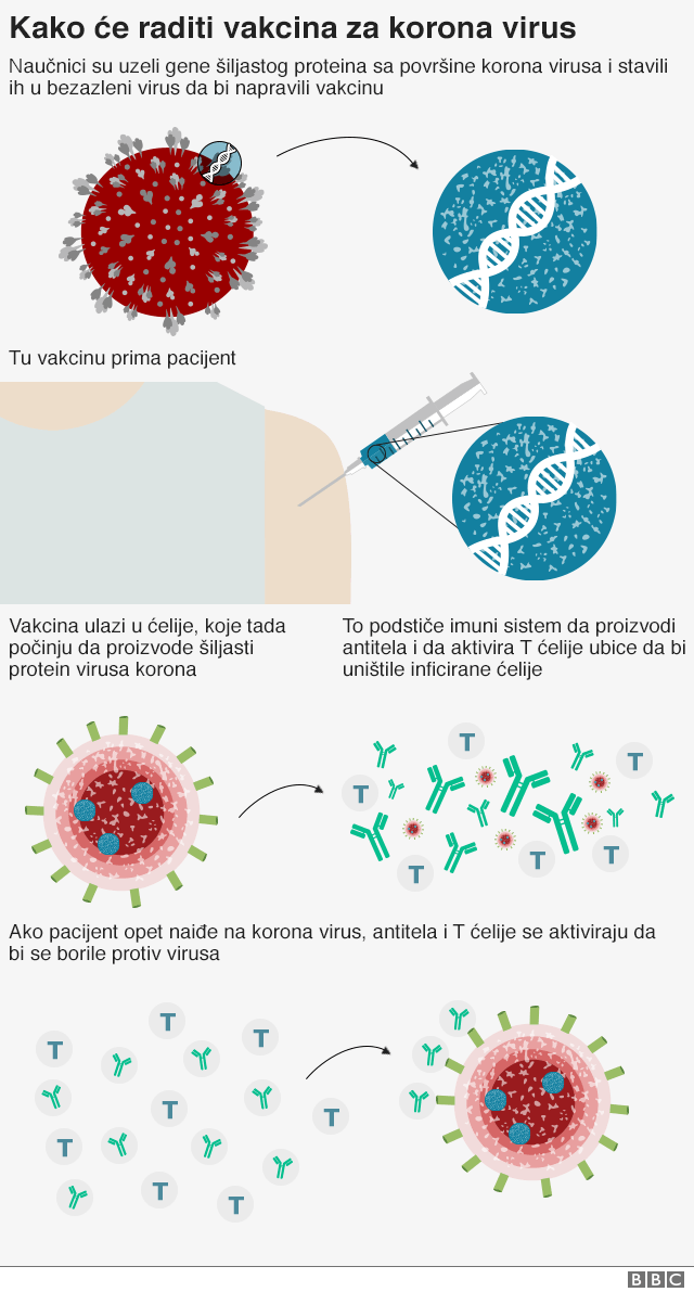 Korona virus: Mere širom sveta popuštaju, Tramp kaže - smanjite broj testiranja, biće manje zaraženih 4 vakcina protiv korona virusa