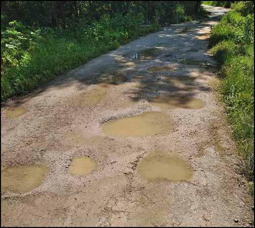 Viljuša 1