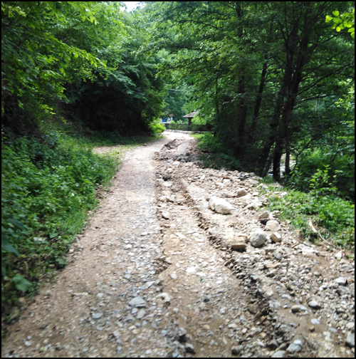 ovčar banja put 1