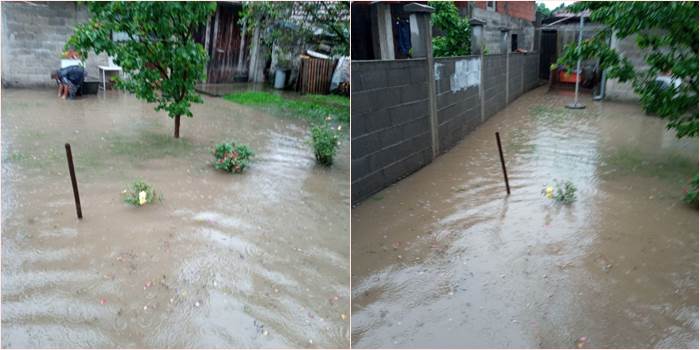poplave