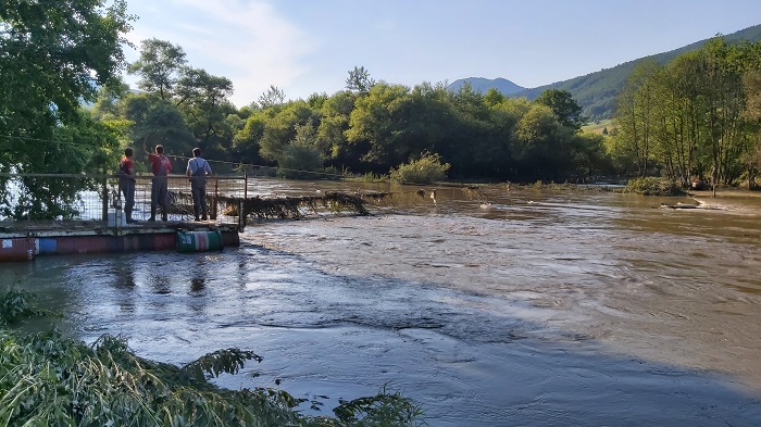 Braći Milosavljević voda odnela 17 konja, sa njima izvlačili drva i zarađivali za život 6 tuckovo3