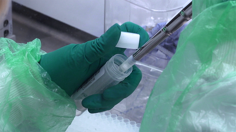 Korona virus: Može li nedeljno testiranje pljuvačke da okonča pandemiju 5 ruka koja drži epruvetu sa pljuvačkom