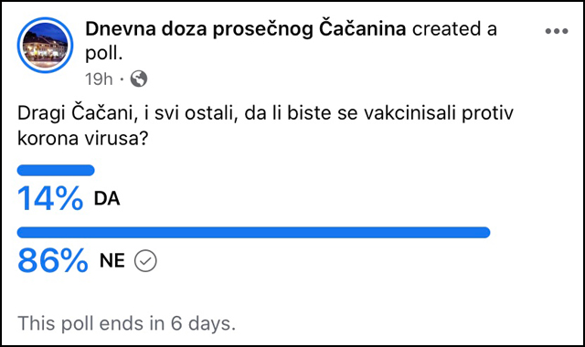 anketa