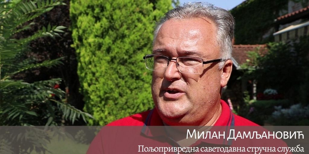 CACAK STANCICI KROMPIR MILAN DAMLJANOVIC 14082020 MNA MILOS LUKIC