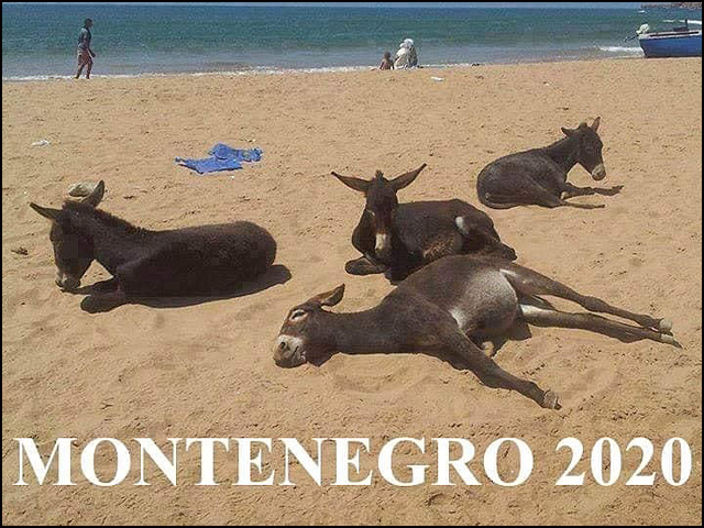 montenegro