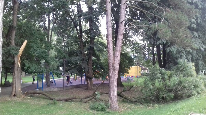 park