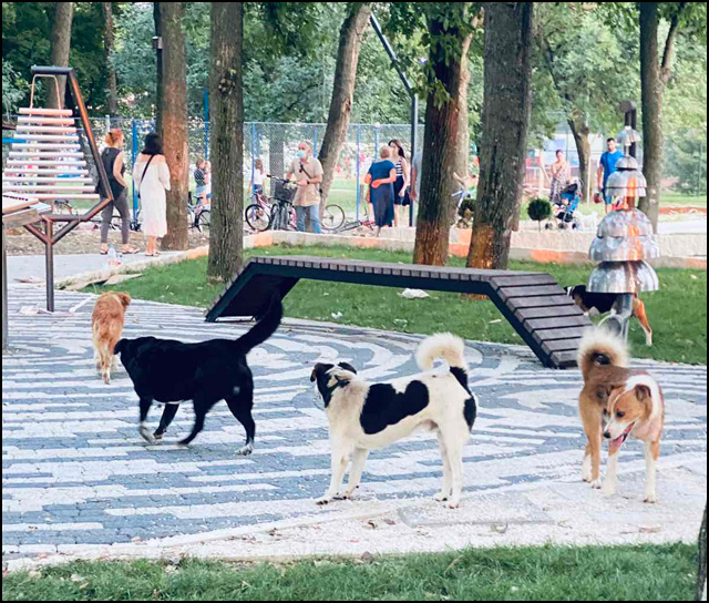 plaža kerovi 2