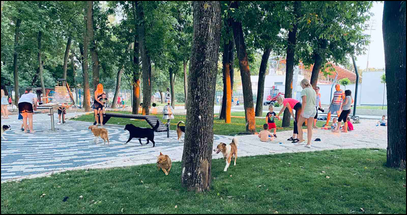 plaža kerovi 4
