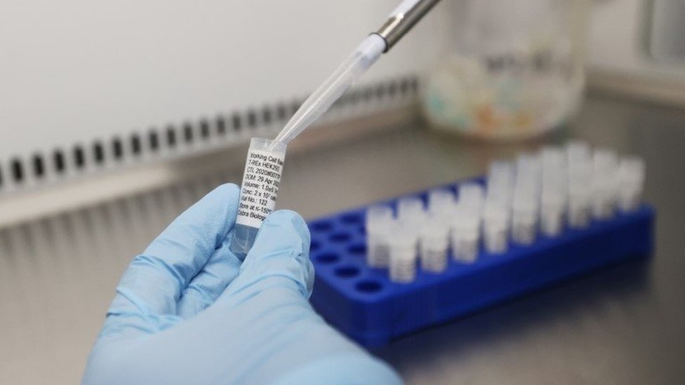 Korona virus: U Srbiji stabilna situacija, u Izraelu se pogoršava uprkos oštrim merama 1 Scientists working at Cobra Biologics, they are working on a potential vaccine for COVID-19