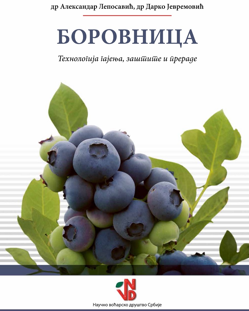 KORICA Borovnica 1