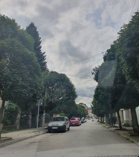 hajduk
