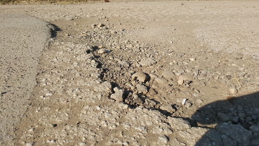ostra1