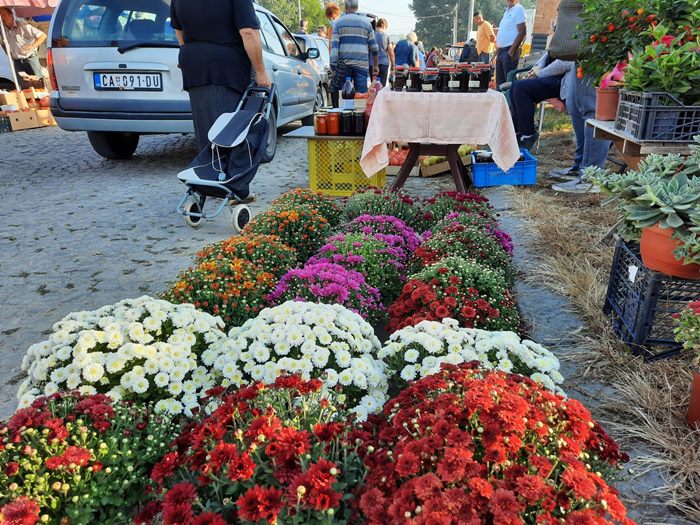 Vašar bez vašara (FOTO) 2 vasar1