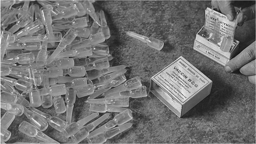 Korona virus, nauka, BCG : Može li vakcina iz 1921. godine da spasi živote od Kovida-19 1 BCG (Bacillus Calmette-Gurin) vaccine