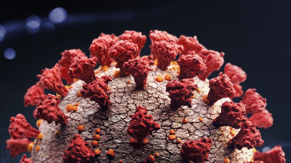 Korona virus i imunitet: Čovek se dva puta zarazio korona virusom - u drugom navratu simptomi bili teži 1 Coronavirus