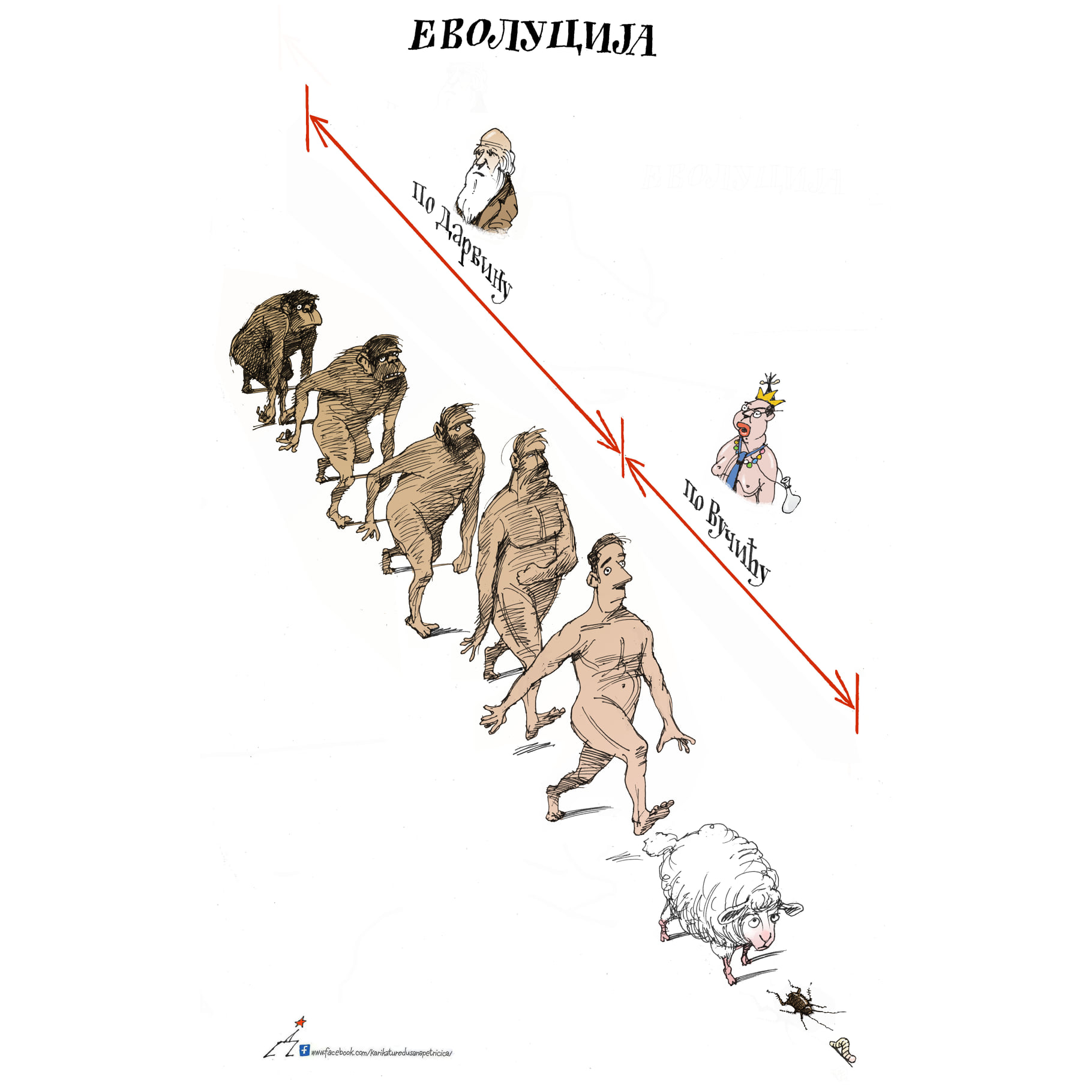evolucija