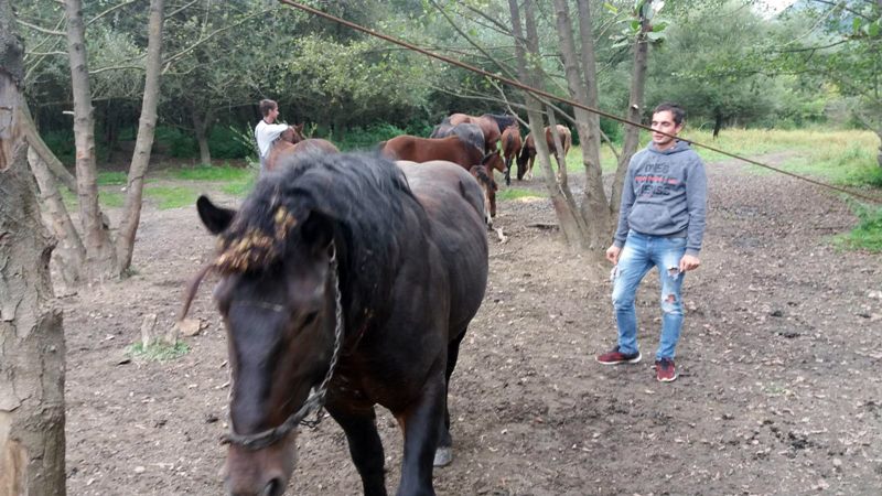 morava2