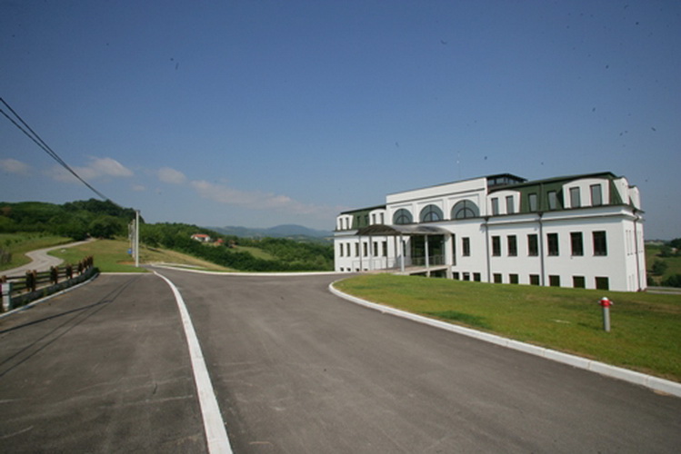 vinijum