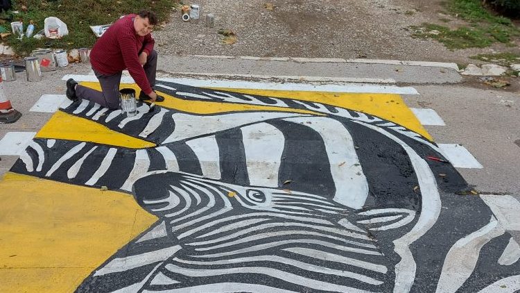 zebra