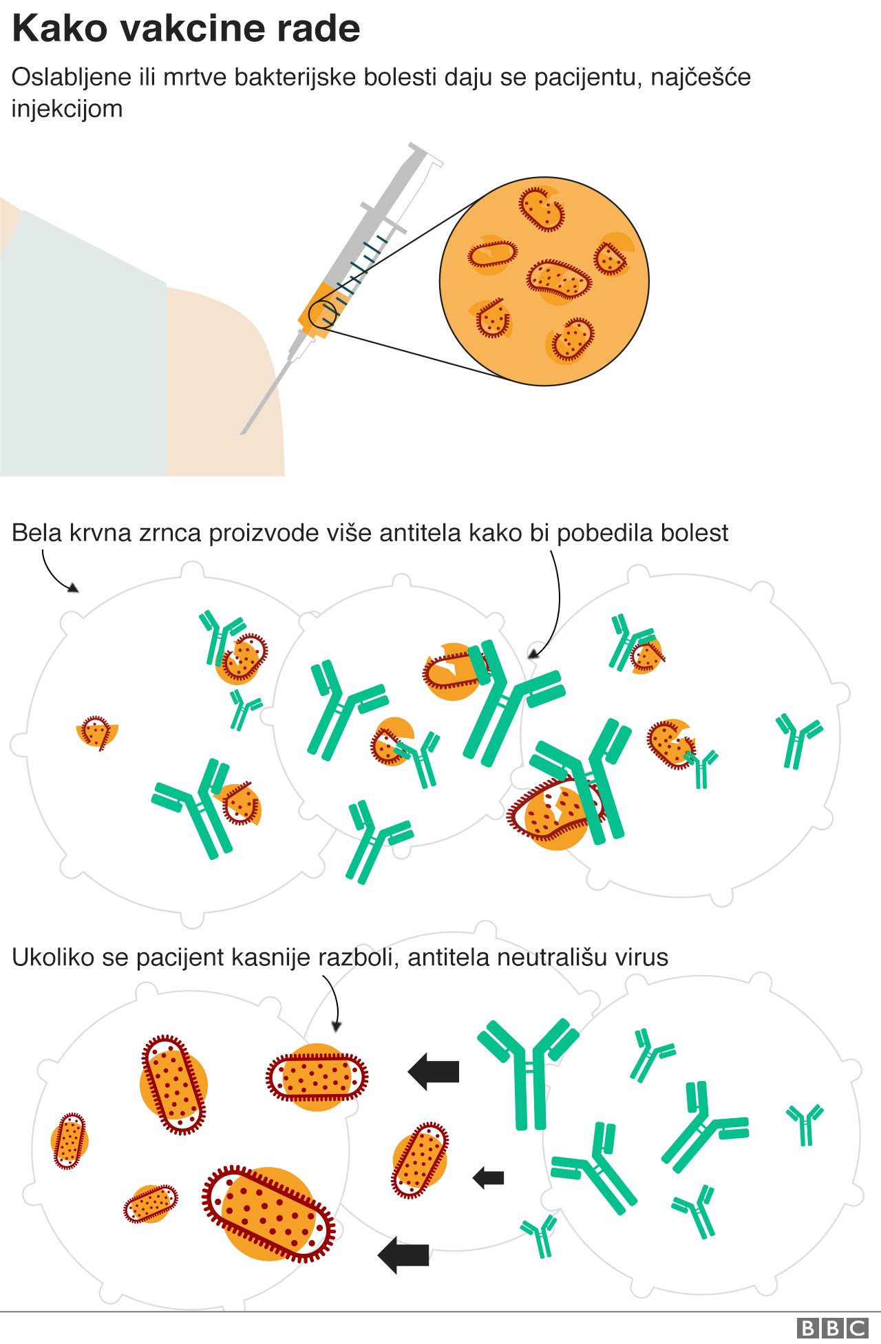 Korona virus i vakcinacija: Šta znamo o prvoj vakcini, kako deluje i koliko je efikasna 2 vakcine