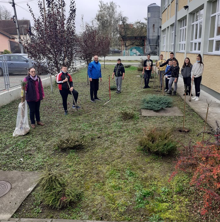 skola