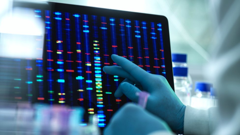 A scientist conducting genetic research (stock photo)