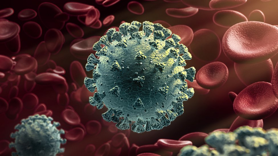 Korona virus i novi soj: Da li je opasniji, smrtonosniji i da li vakcine i dalje deluju 1 A computer-generated graphic of the virus in front of red blood cells